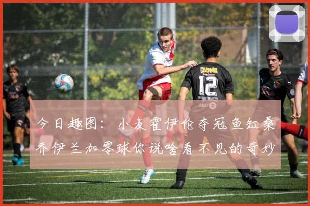 今日趣图：小麦霍伊伦夺冠鱼缸桑乔伊兰加零球你说啥看不见的奇妙瞬间